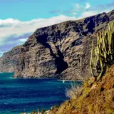 Gigantes acantilados y cactus imponentes vigilan la playa de los gigantes, donde el mar azul profundo besa la costa.