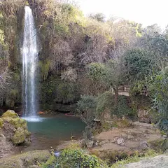 Los chorradores de Navarres, una cascada cae en una poza de agua verde rodeada de vegetación y rocas.