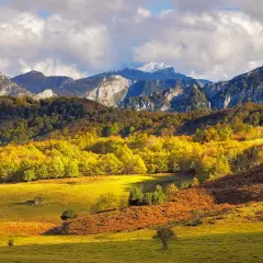 Paisaje otoñal en el **parque natural de Ponga**, con montañas nevadas al fondo y un bosque de árboles amarillos y ocres en primer plano.