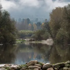 Un tranquilo río refleja árboles otoñales y niebla en la **vía verde del Serpis**. Rocas cubiertas de musgo bordean la orilla.