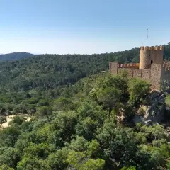 Castillo medieval rodeado de bosques frondosos, con un restaurante en su interior. El Castell de Brunyola ofrece vistas espectaculares.