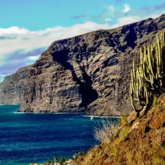 Gigantes acantilados y cactus imponentes vigilan la playa de los gigantes, donde el mar azul profundo besa la costa.