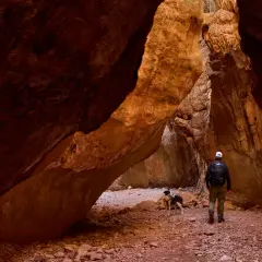 Un hombre y dos perros exploran el estrecho de la Arboleja, un cañón de roca rojiza con formaciones impresionantes.