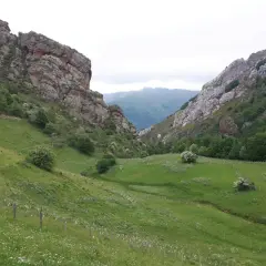 Un valle verde y florido se abre entre imponentes rocas en los Picos de Europa, Cantabria.