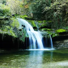 Cascada en un bosque frondoso, un rincón idílico de los parques naturales de España. El agua cae sobre rocas cubiertas de musgo, creando un espectáculo natural.