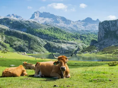 Picos de Europa - Evita errores y disfruta al máximo tu visita