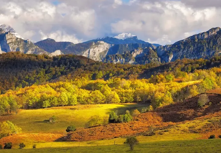 Paisaje otoñal en el **parque natural de Ponga**, con montañas nevadas al fondo y un bosque de árboles amarillos y ocres en primer plano.