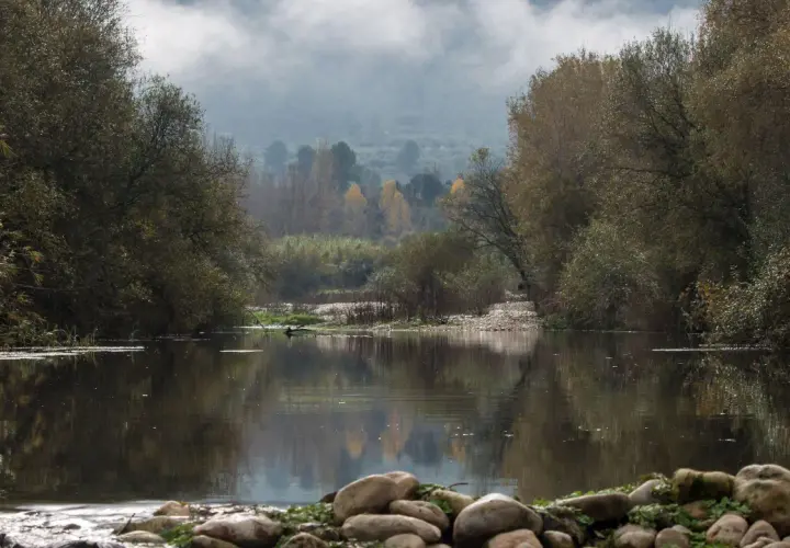 Un tranquilo río refleja árboles otoñales y niebla en la **vía verde del Serpis**. Rocas cubiertas de musgo bordean la orilla.
