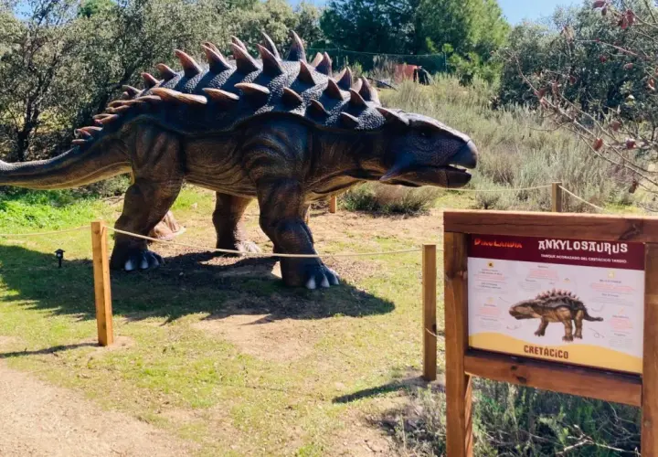 Un Ankylosaurus a escala real en una exposición de dinosaurios en Madrid. El cartel informativo detalla su época, el Cretácico.