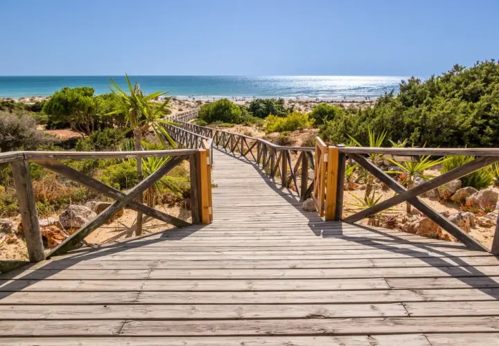 Pasarela de madera hacia la playa en Sancti Petri. El paseo marítimo se abre a un mar azul brillante y arena dorada.