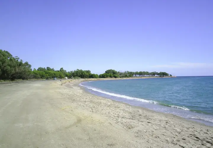 Playa Quitapellejos: arena clara, mar azul y pinos. Un lugar tranquilo para relajarse, según las opiniones.
