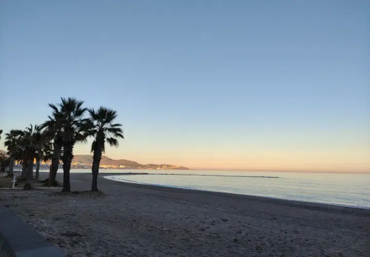 Palmeras en el benicasim paseo maritimo al amanecer, con el mar en calma y la costa al fondo.
