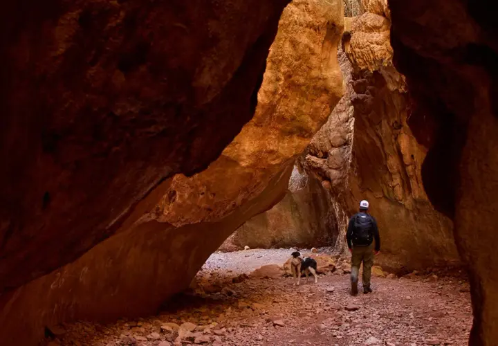 Un hombre y dos perros exploran el estrecho de la Arboleja, un cañón de roca rojiza con formaciones impresionantes.