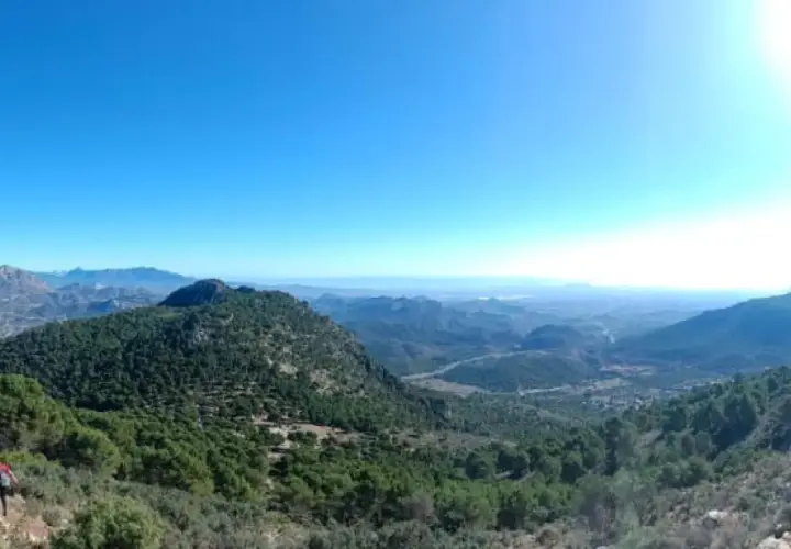 Un excursionista disfruta de la vista panorámica desde el balcon de Alicante, un paisaje montañoso cubierto de pinos bajo un cielo azul intenso.