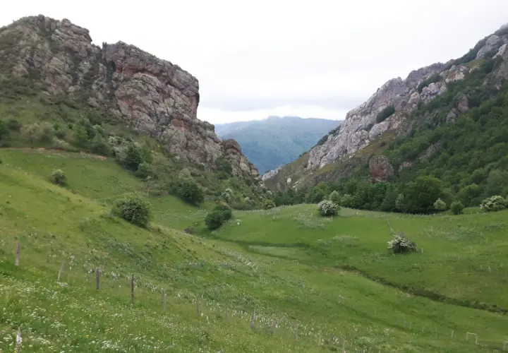 Un valle verde y florido se abre entre imponentes rocas en los Picos de Europa, Cantabria.