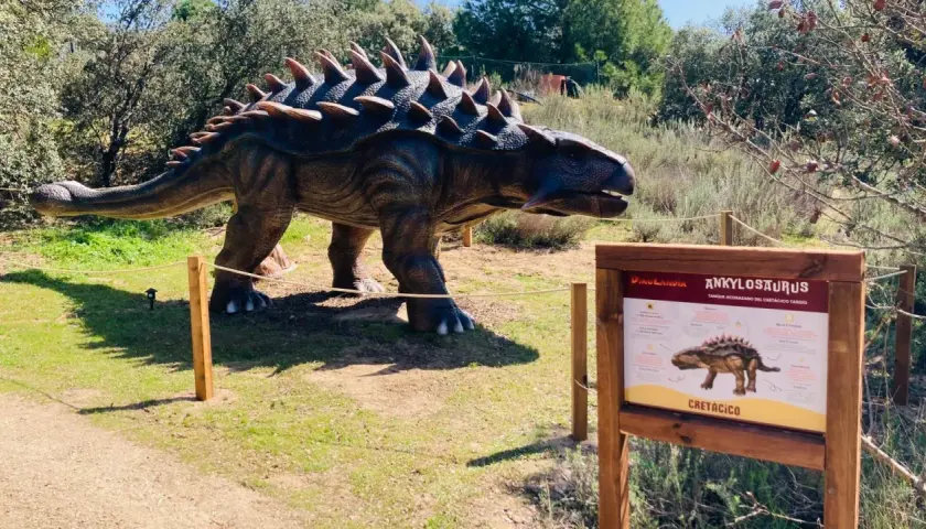 Un Ankylosaurus a escala real en una exposición de dinosaurios en Madrid. El cartel informativo detalla su época, el Cretácico.
