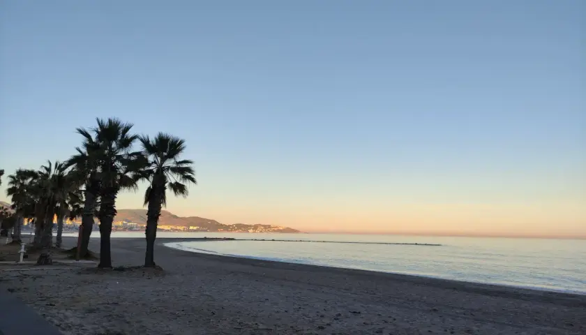 Palmeras en el benicasim paseo maritimo al amanecer, con el mar en calma y la costa al fondo.