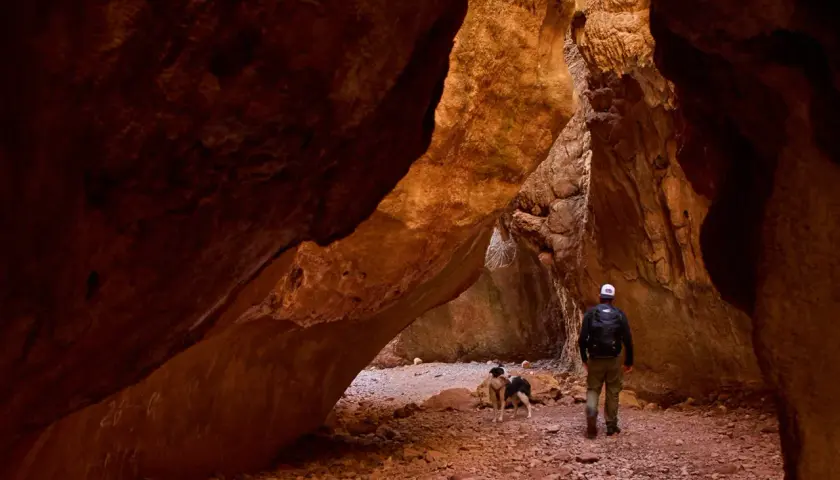 Un hombre y dos perros exploran el estrecho de la Arboleja, un cañón de roca rojiza con formaciones impresionantes.