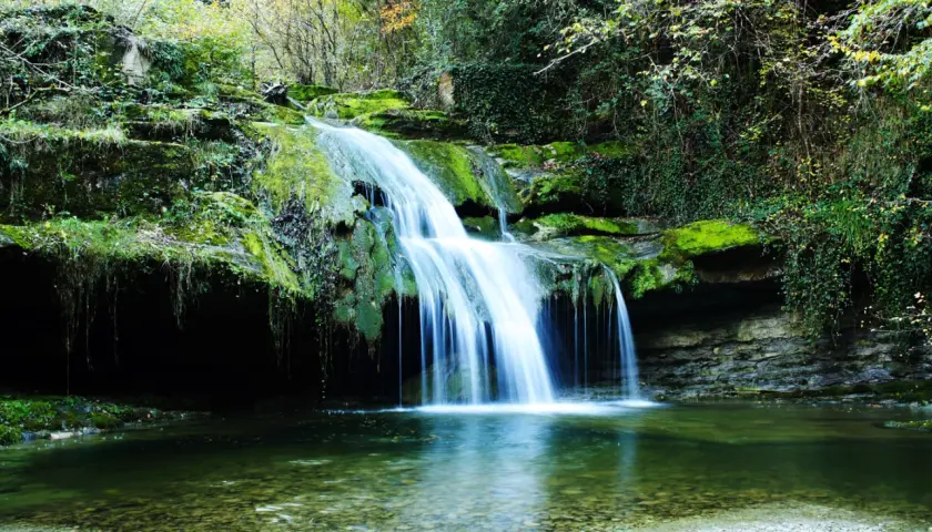 Cascada en un bosque frondoso, un rincón idílico de los parques naturales de España. El agua cae sobre rocas cubiertas de musgo, creando un espectáculo natural.