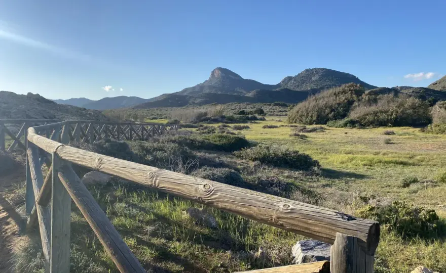 Monte de las Cenizas - La guía para tu visita perfecta