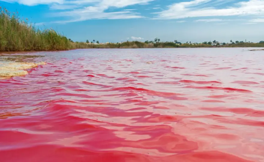 Lagunas de La Mata y Torrevieja - Guía para no ir a ciegas