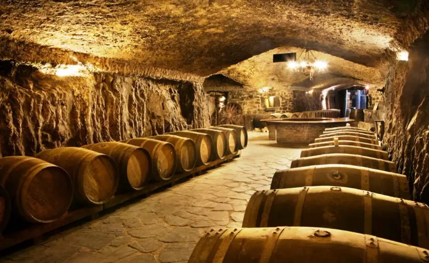 Visita a bodegas - Cómo elegir la mejor experiencia enoturística