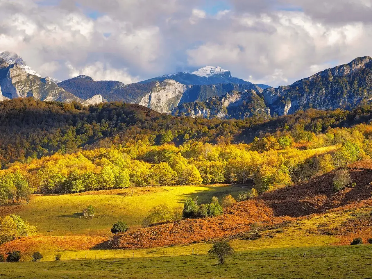 Paisaje otoñal en el **parque natural de Ponga**, con montañas nevadas al fondo y un bosque de árboles amarillos y ocres en primer plano.