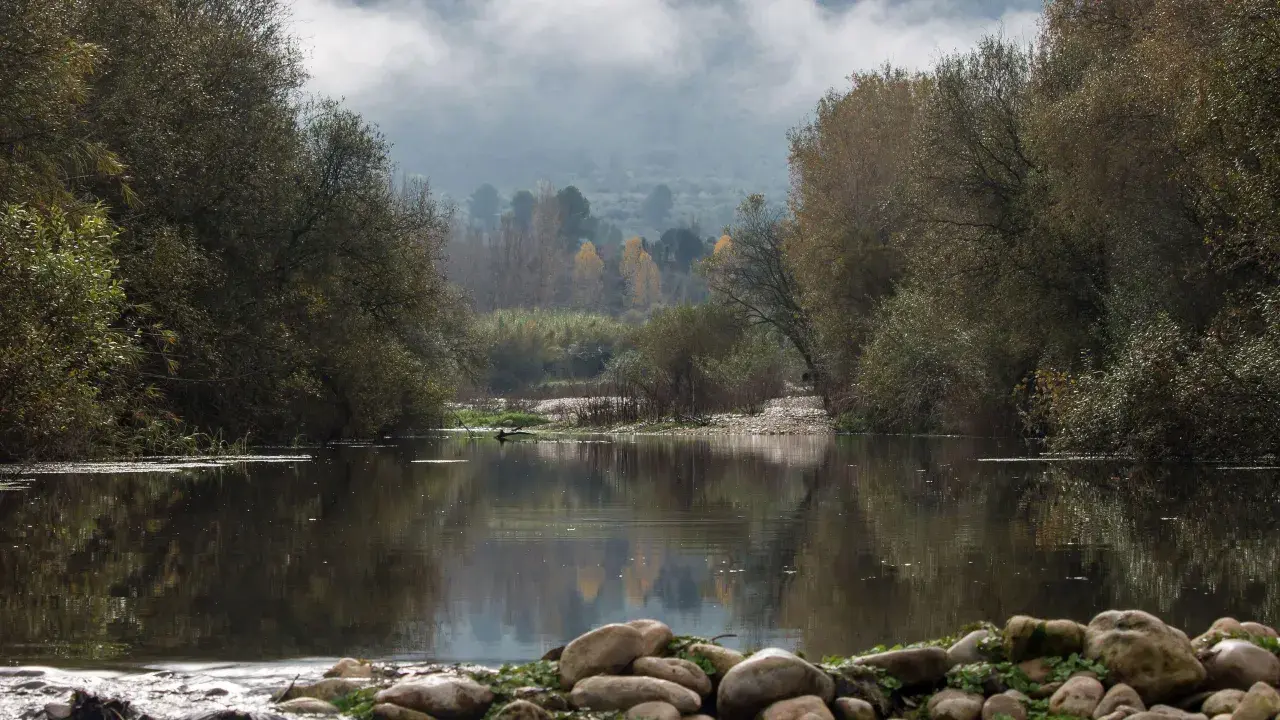 Un tranquilo río refleja árboles otoñales y niebla en la **vía verde del Serpis**. Rocas cubiertas de musgo bordean la orilla.