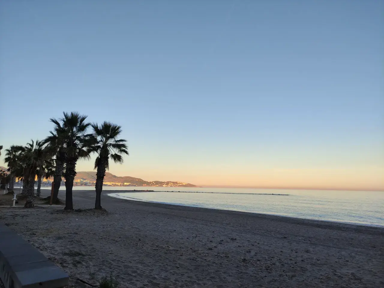Palmeras en el benicasim paseo maritimo al amanecer, con el mar en calma y la costa al fondo.