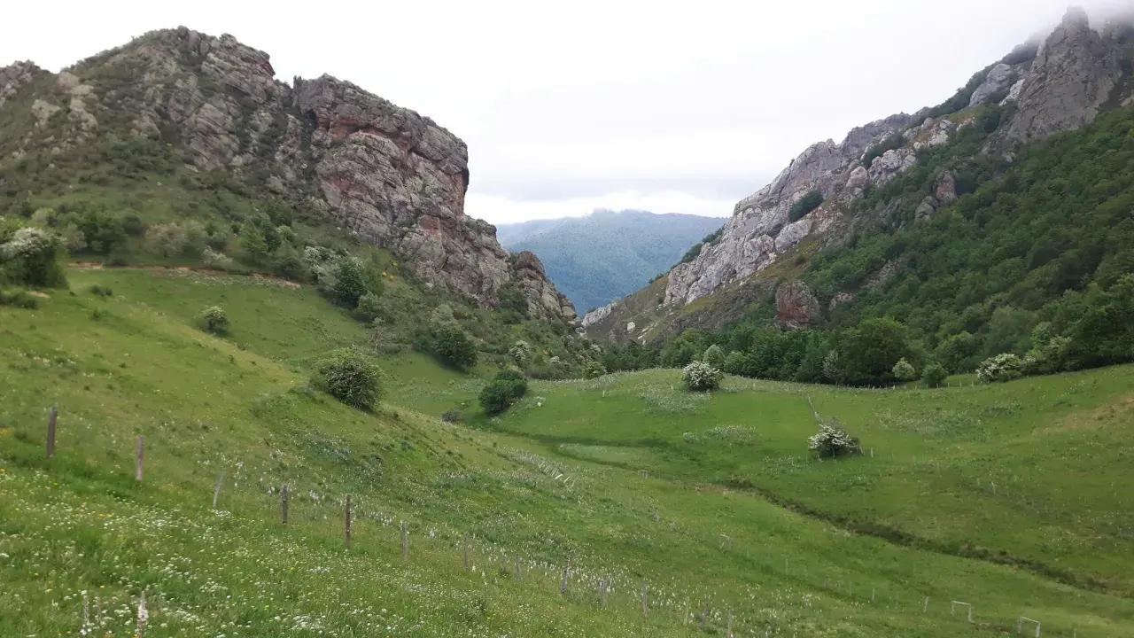 Un valle verde y florido se abre entre imponentes rocas en los Picos de Europa, Cantabria.