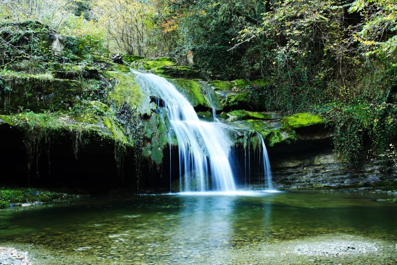 Cascada en un bosque frondoso, un rincón idílico de los parques naturales de España. El agua cae sobre rocas cubiertas de musgo, creando un espectáculo natural.
