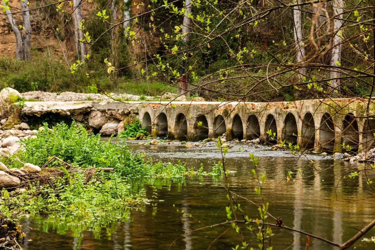 Puente de arcos sobre el río, parte de la vía verde del Serpis, rodeado de vegetación exuberante y árboles.