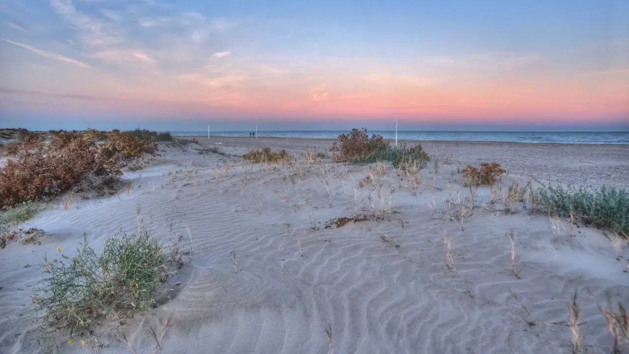 Dunas y vegetaci&oacute;n en la playa Almarda al atardecer. Las opiniones sobre este lugar son muy positivas.