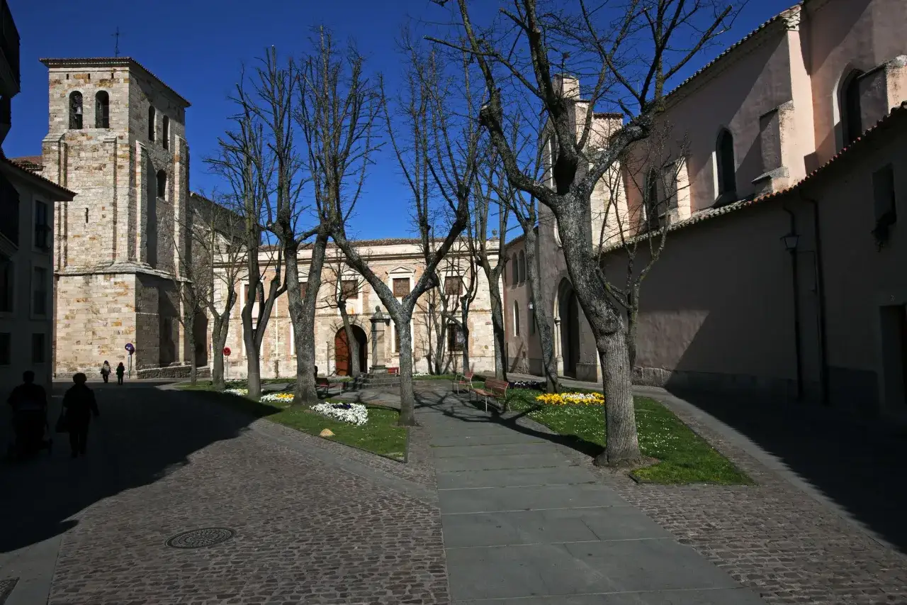 Plaza con árboles desnudos y flores, frente a edificios históricos. Un lugar tranquilo para pasear y descubrir qué ver en Zamora.