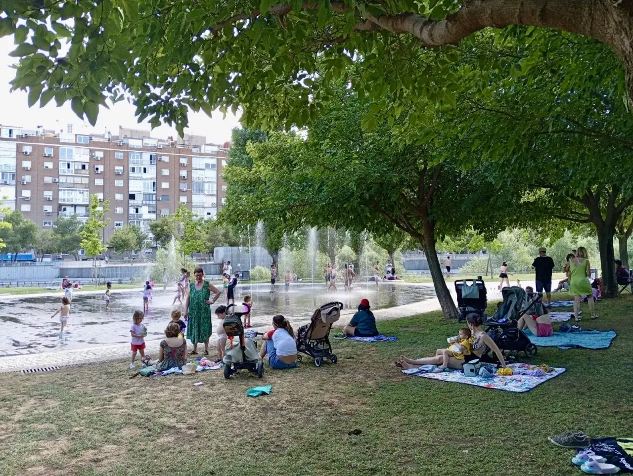 Familias disfrutan de chorros de agua en un parque, ¡parece que en Madrid hay playa! Niños juegan y adultos descansan bajo árboles.