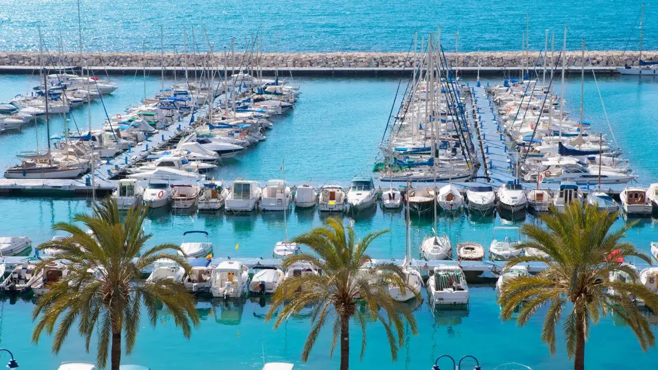 Un puerto lleno de veleros y yates, con palmeras en primer plano. Un paisaje idílico de moraira pueblo, fotos que invitan a soñar.