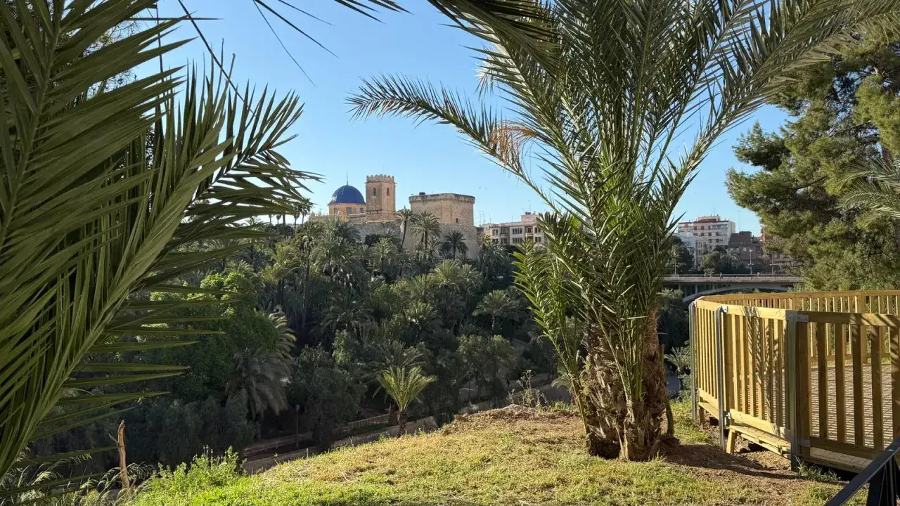 El Palmeral de Elche, un oasis verde, se extiende bajo un cielo azul. En la colina, un castillo y una iglesia con cúpula azul vigilan el paisaje.